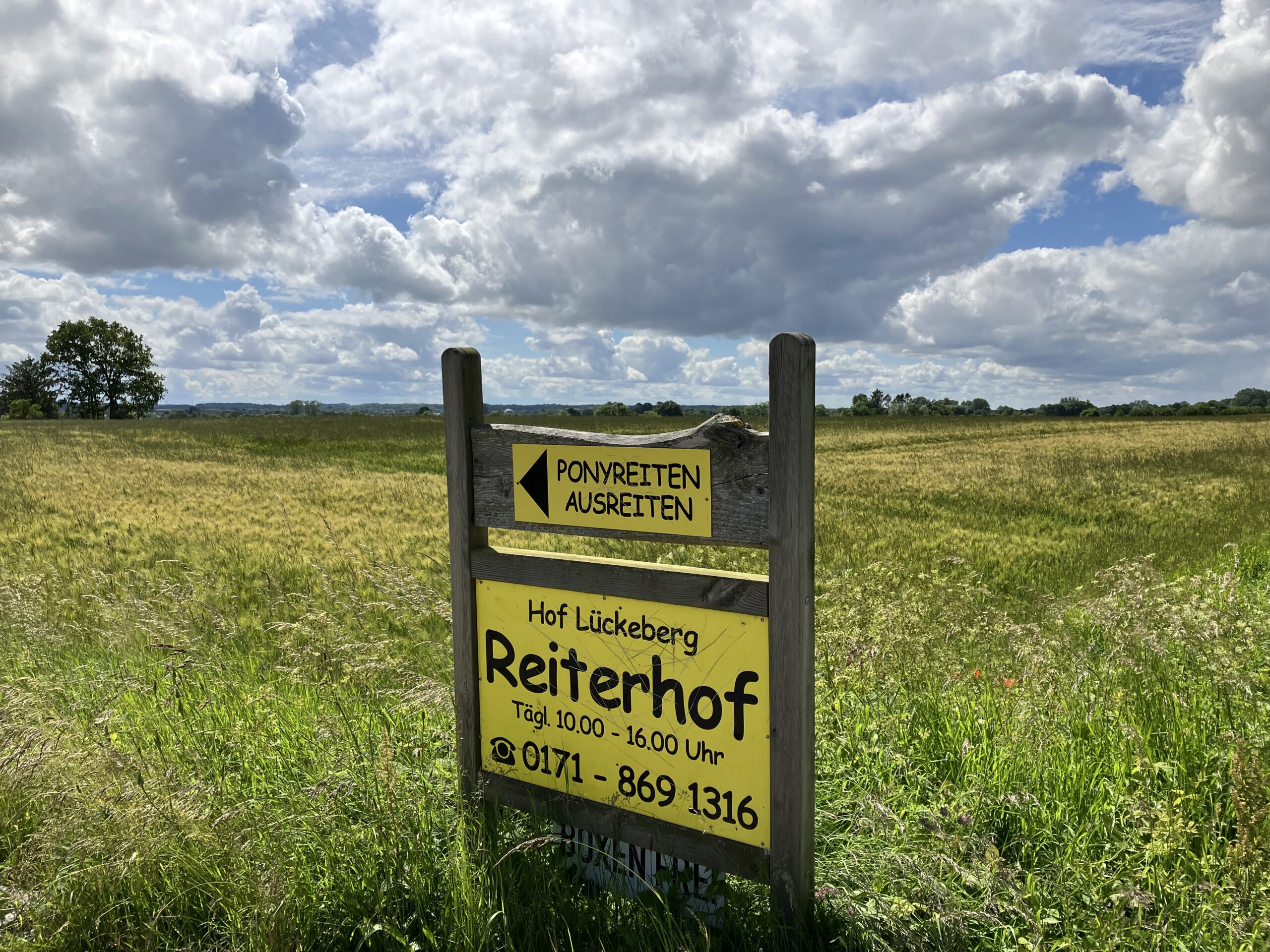 Reiten Ferienwohnungen und Apartments Kohrt Ostseebad Schönhagen Kappeln