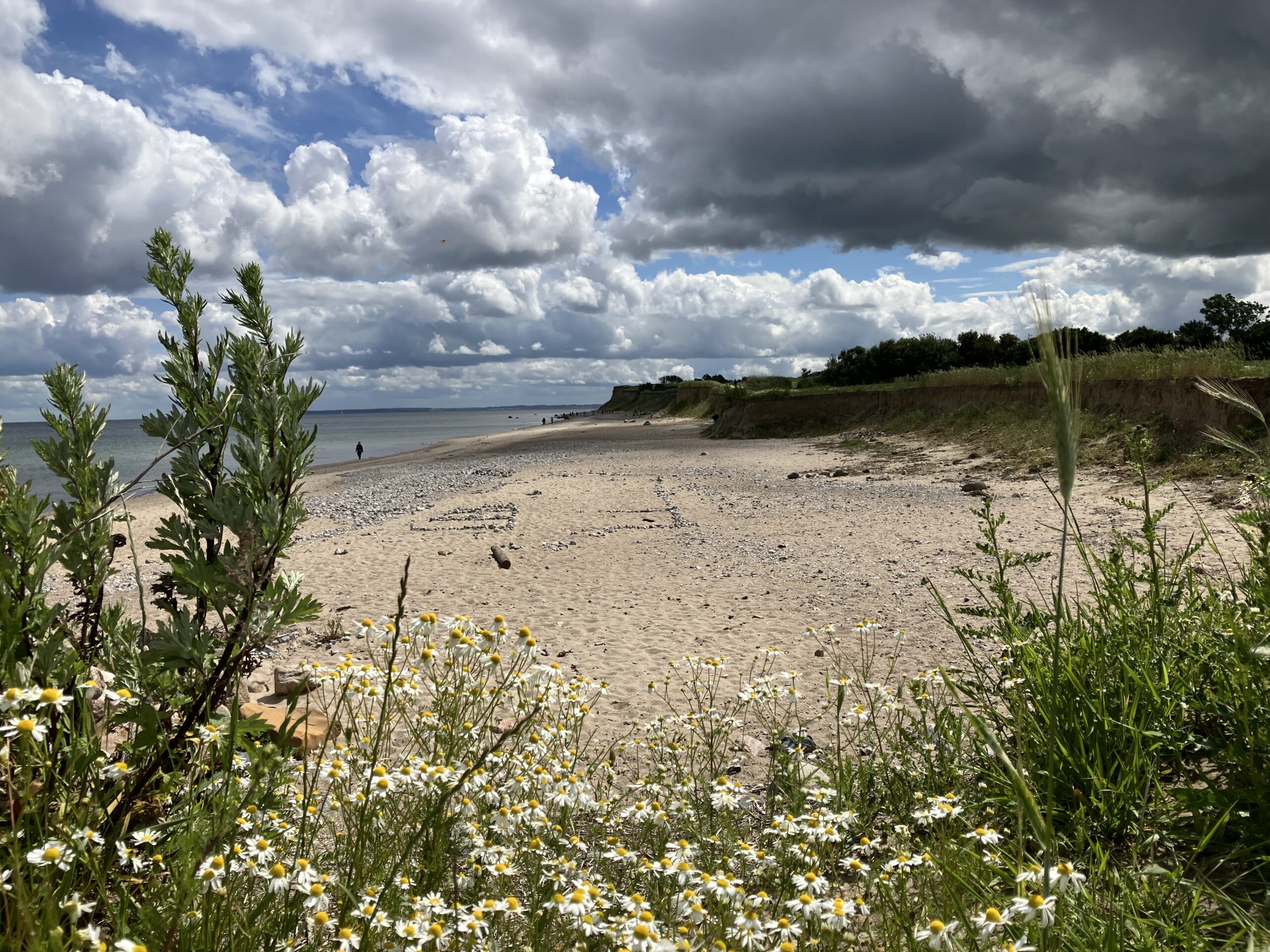 Ostseestrand Ferienwohungen und Panorama-Apartments Kohrt Ostseebad Schönhagen Kappeln