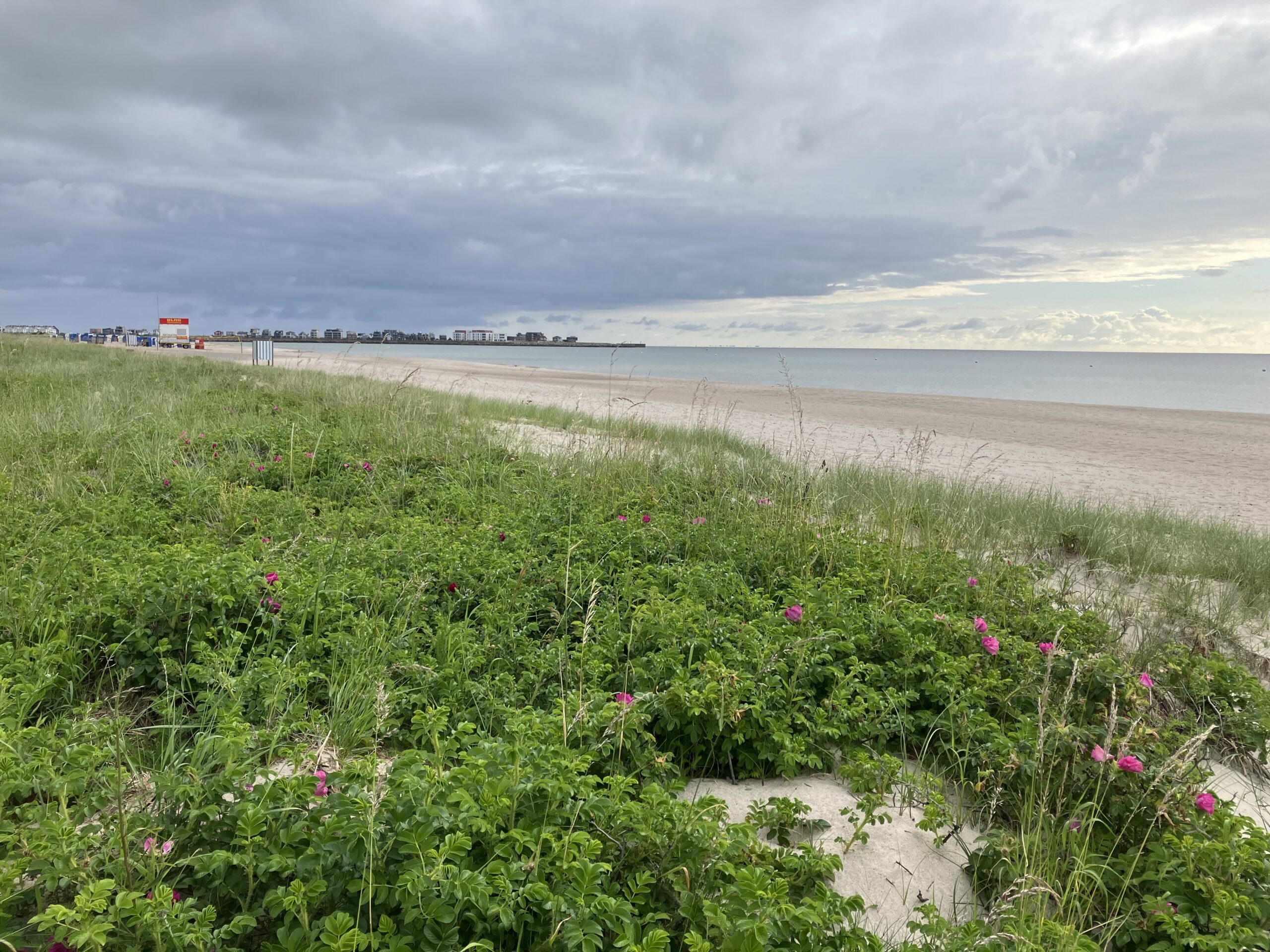 Strand Ferienwohungen und Panorama-Apartments Kohrt Ostseebad Schönhagen Kappeln